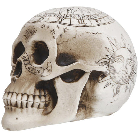 Calavera espiritismo decoración 20 cm perfil