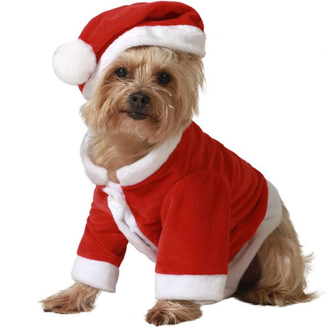 Disfraz de Papá Noel para perro